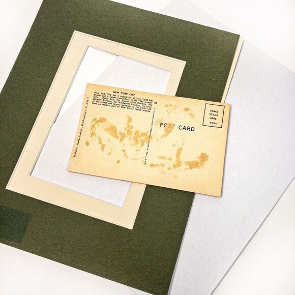 MCM Monarchs of New York City Vintage Postcard Double Matted - Picture 3 of 7